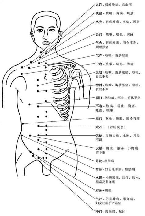 背穴|人体背部穴位图及作用功效